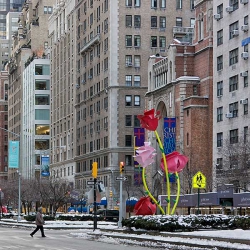 Композиции из металлических цветов на улицах Нью-Йорка